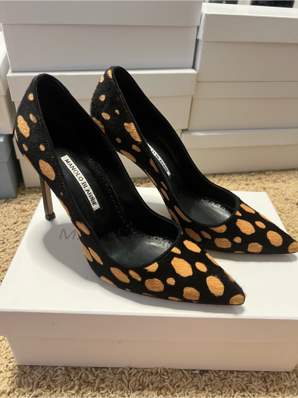 Manolo Blahnik - Sahara Ocra/Black Leopard LeopardPointed-Toe Pumps